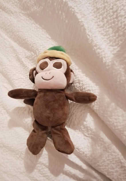Photo of free Little monkey (Bramley, Hants RG26) #1