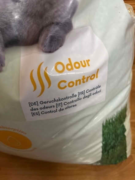 Photo of free Cat Litter (Ashburton CR0) #2