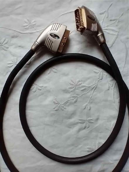 Photo of free Scart lead (Endmoor LA8) #1
