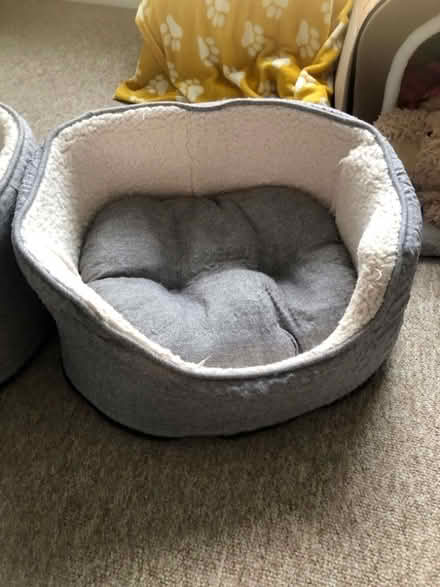 Photo of free TWO Dog Baskets (Penketh WA5) #2