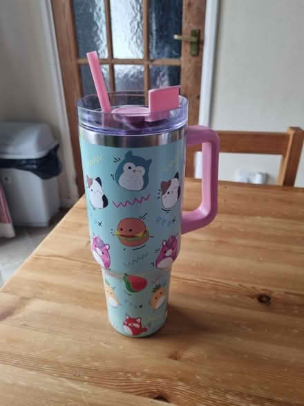 Photo of free Squishmallow cup (St Athan CF62) #1