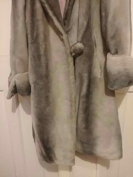 Photo of free Vintage faux fur coat (Nr South Norwood Lakes SE19) #4