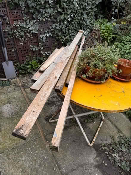 Photo of free wood (Newhaven) #3