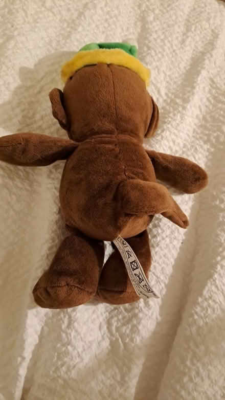 Photo of free Little monkey (Bramley, Hants RG26) #2