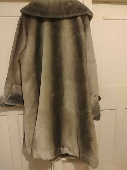 Photo of free Vintage faux fur coat (Nr South Norwood Lakes SE19) #2