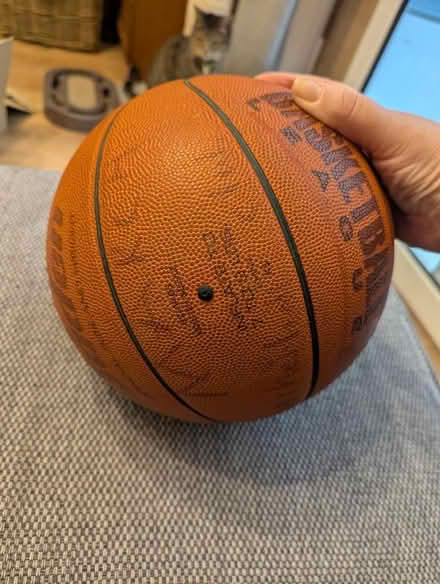 Photo of free Basketball (Swarkestone DE73) #2