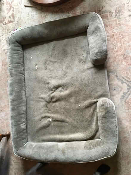 Photo of free Large dog bed - memory foam (Headington OX3) #4