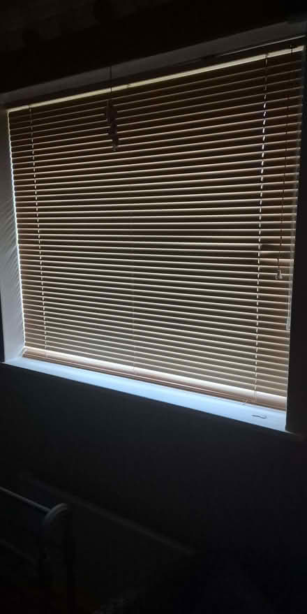 Photo of free Venetian Blind (Portishead BS20) #1
