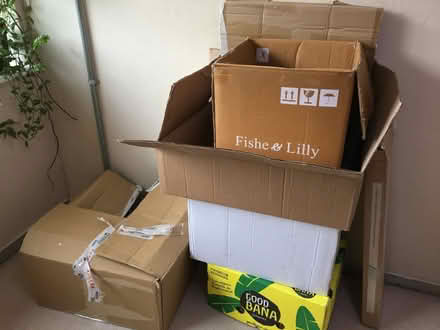 Photo of free Strong packing boxes (Hartington Road BN2) #1
