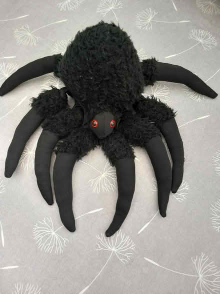 Photo of free Fancy dress accessories (Thanet CT10) #3