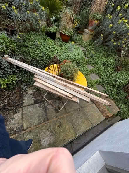 Photo of free wood (Newhaven) #1