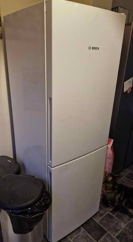 Photo of free Bosch upright white Fridge Freezer (Epsom) #3