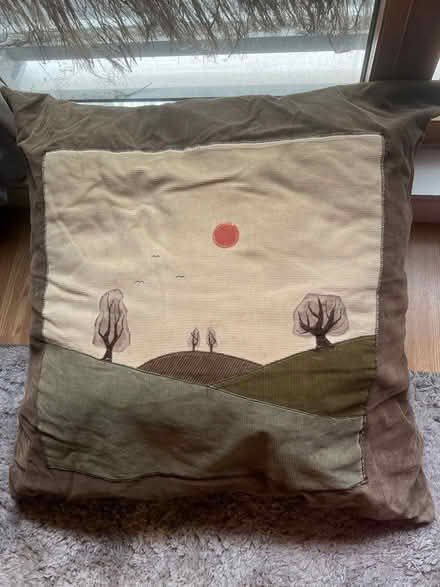 Photo of free Floor cushion (City Centre NR1) #1