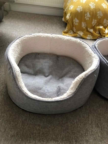 Photo of free TWO Dog Baskets (Penketh WA5) #3