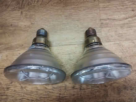 Photo of free 2 x security light bulbs (Cowplain PO8) #2