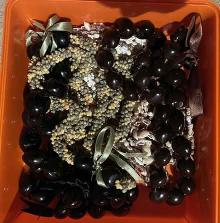 Photo of free Fancy dress for adults (PL21) #4