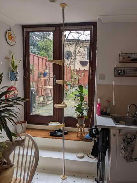Photo of free Plant stand floor to ceiling (SE3) #1