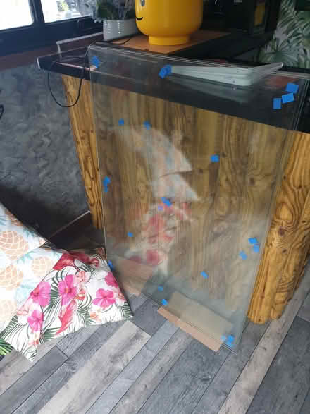 Photo of free tempered glass (Bedworth CV12) #2
