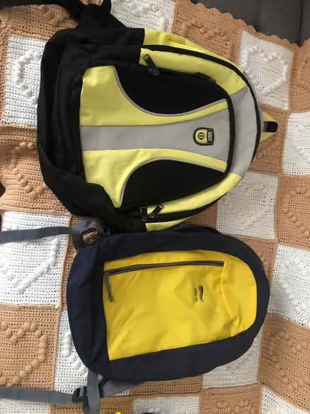 Photo of free Backpacks and bop it toy (South Oxfordshire RG4) #1