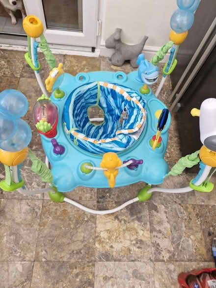 Photo of free Baby bouncer (Shrewsbury) #2