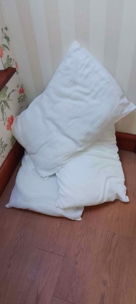 Photo of free Pillows (Huntly AB54) #1