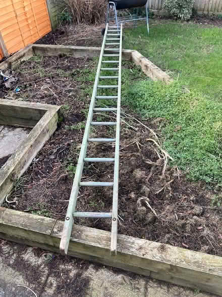Photo of free Ladder (Horsham) #1