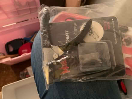 Photo of free Box of dog accessories (Farlington PO6) #4
