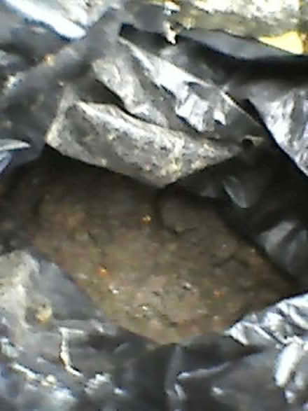 Photo of free soil (Box) #2