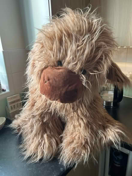 Photo of free Big Highland Cow - stuffed toy (HR4 7FG) #1