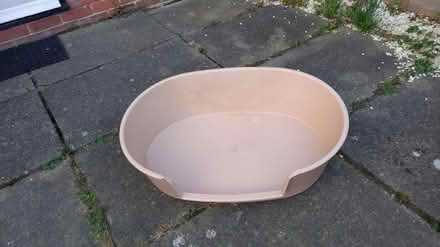 Photo of free Plastic dog bed (West Molesey) #1