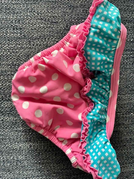 Photo of free baby swim nappy 9-12months (Craigmount EH12) #2