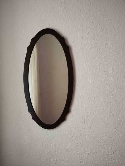 Photo of free Dark Mirror (Freehold LA1) #1