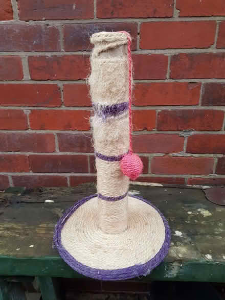 Photo of free Cat scratching post (Norton S8) #1