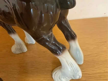 Photo of free Collection of ceramic horses (Hadleigh SS7) #3