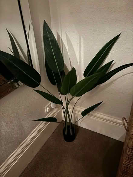 Photo of free Artificial plant (Leckhampton GL53) #1