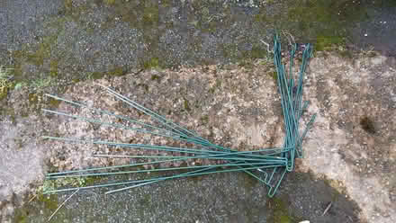 Photo of free Links takes for plants (Chapel Allerton LS7) #1