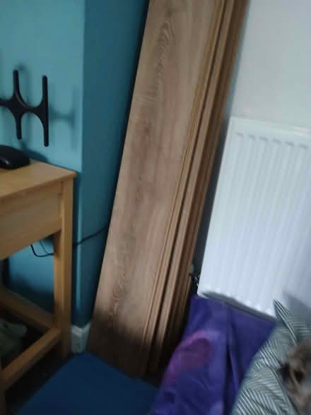 Photo of free 9ft x13 ft laminated flooring all taken up carefully (Cross Houses SY5) #2