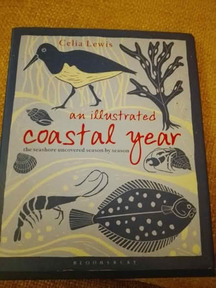Photo of free Coastal book (St Leonards TN38) #1