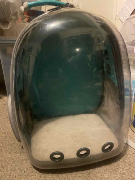 Photo of free cat carrier backpack (east hollywood) #3