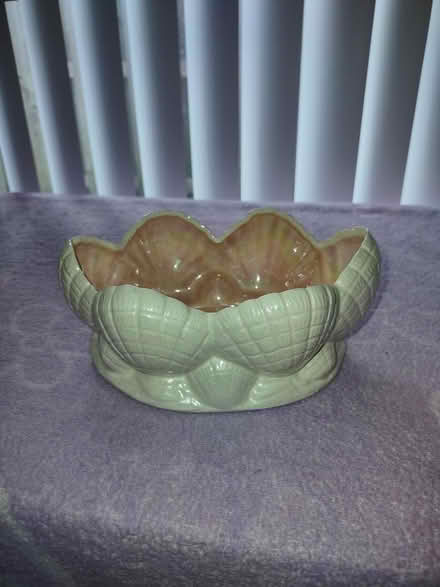 Photo of free Shell theme open ceramic dish (Sunrise- near City Hall) #1