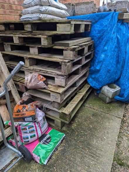 Photo of free Pallets (SG8) #1