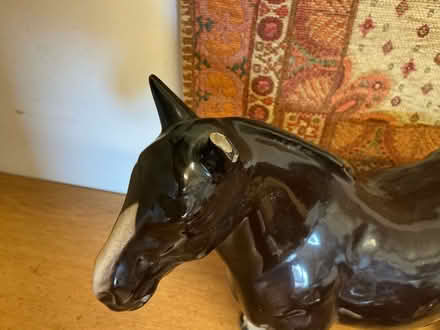 Photo of free Collection of ceramic horses (Hadleigh SS7) #2