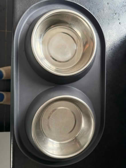 Photo of free Feeding bowls and non slip mat (SG18) #1