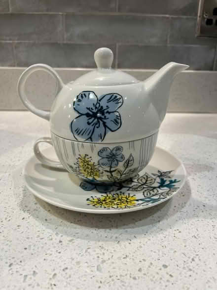 Photo of free Single person teapot and cup (Walkley) #1