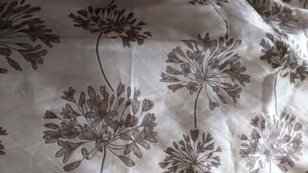 Photo of free Brown flower curtains (Emmbrook RG41) #1