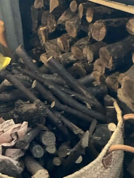 Photo of free Firewood (SE18 Woolwich) #3
