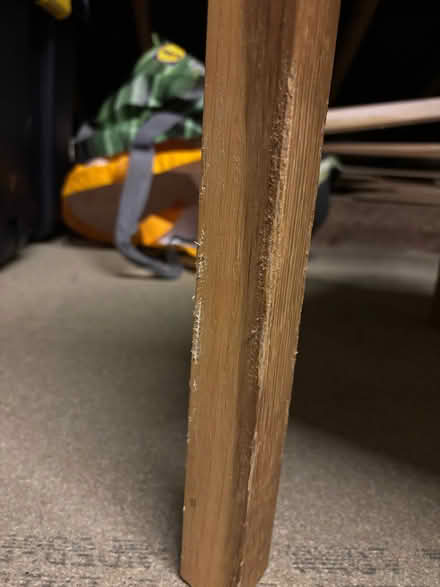 Photo of free Set of 6 oak dining chairs, legs bit chewed by rabbit (Mile Oak BN41) #2