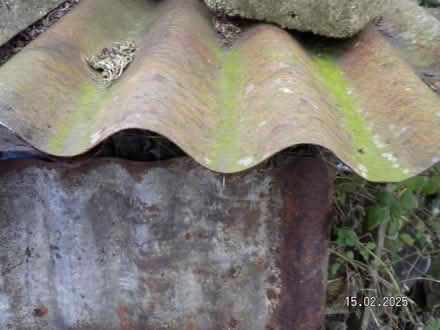 Photo of Roofing sheet of various materials eg corrugated iron (New Costessey NR5) #2