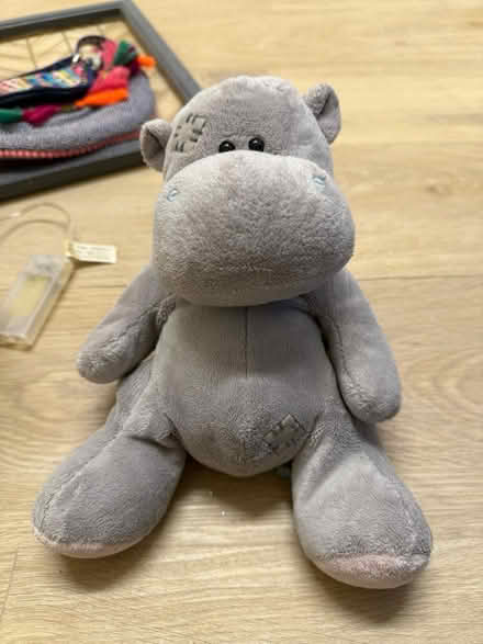 Photo of free Teddy (E17) #1
