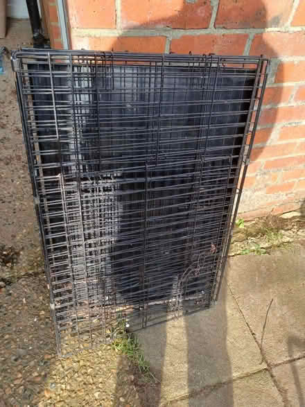 Photo of free Dog cage (New addington) #1